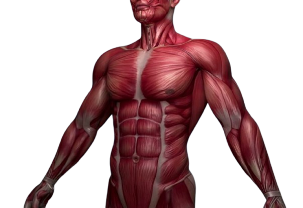 042278A3-7B98-4903-8144-4F998589E1C5-800x549-removebg-preview